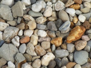 DSCF2590