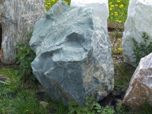 DSCF5324