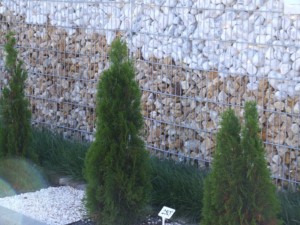 DSCF2762
