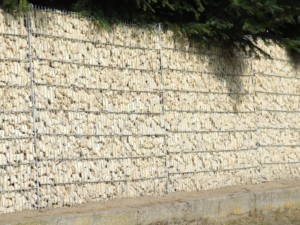 DSCF2835