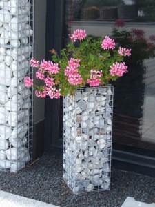DSCF3859