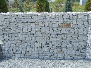 DSCF3896