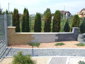 DSCF3898