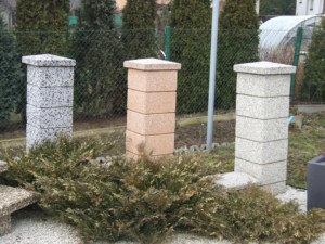 DSCF6871