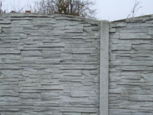 DSCF6880