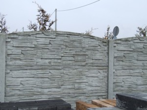 DSCF6881