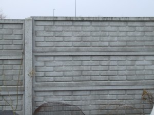 DSCF6883