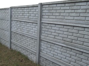 DSCF6884