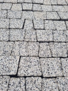 1000038660