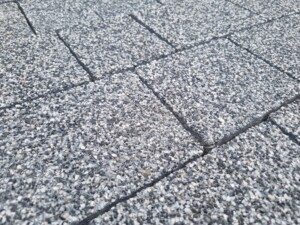 IMG-20250415-WA0008
