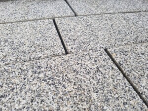 IMG-20250415-WA0020