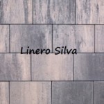 Linero-silva.jpg_1216690857