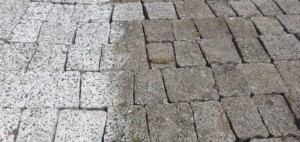 IMG-20240516-WA0004
