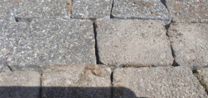 IMG-20240516-WA0006