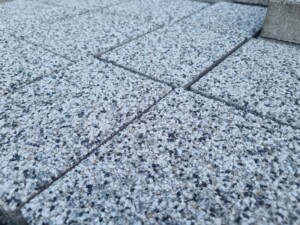 IMG-20250414-WA0029