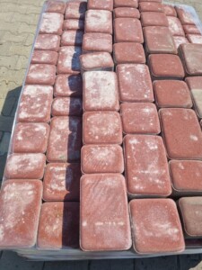 IMG-20260804-WA0002